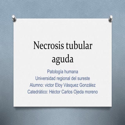 Necrosis tubular aguda