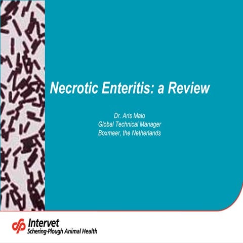 Necrotic Enteritis.pdf
