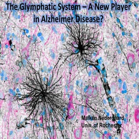 The Glymphatic System – A New Player in Alzheimer Disease? | PPTX