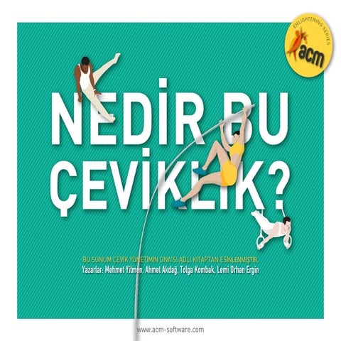 Nedir Bu Çeviklik?