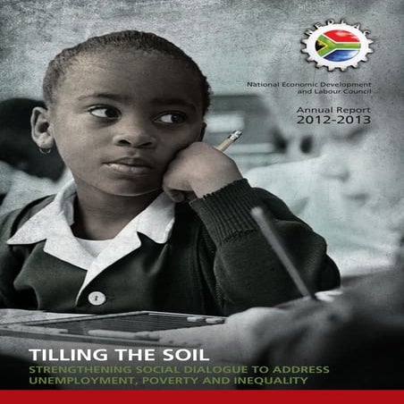 Nedlac annual report 2013