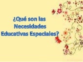 Necesidades Educativas Especiales.