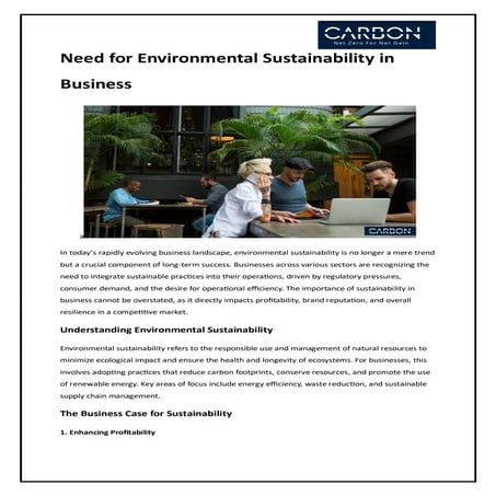 SUSTAINABILITY OF INNOVATION IN BUSINESS.pptx