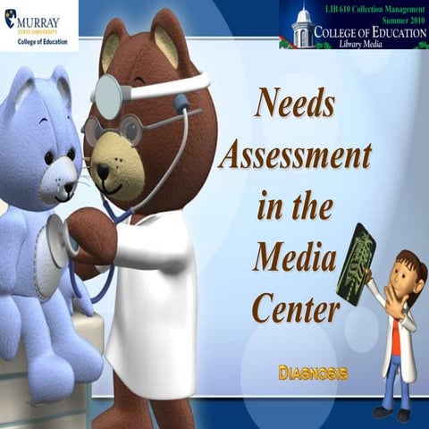 Needs assessment 2007 version