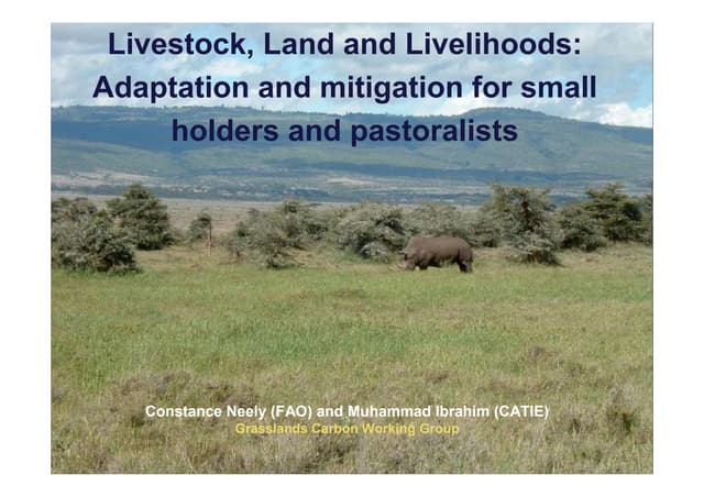 Livestock, Land and Livelihoods: Adaptation and Mitigation for Small Holders and Pastoralists