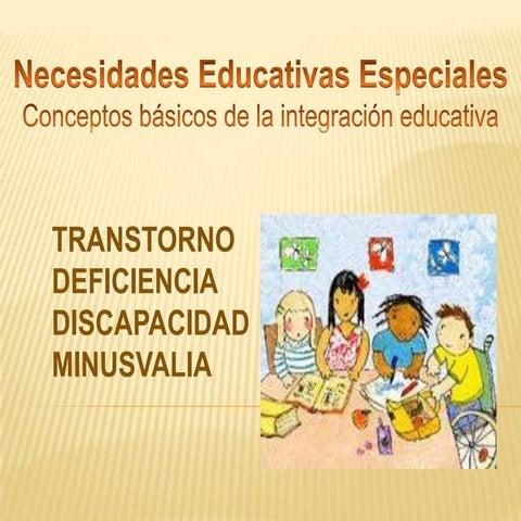 Las Necesidades Educativas Especiales