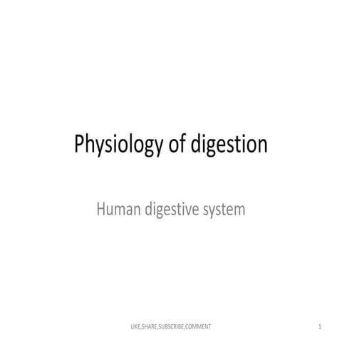 Neet  physiology of digestion