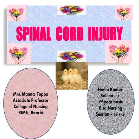 spinal cord injury ppt