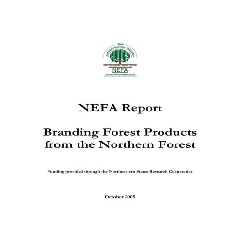 Nefa.branding.report10.17.05