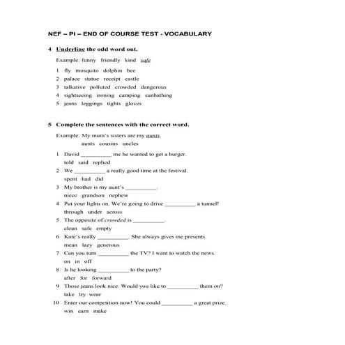 NEF – PI – END OF COURSE TEST - VOCABULARY