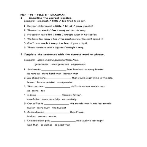 NEF – PI – FILE 5 – GRAMMAR                                                 