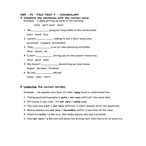 NEF – PI – FILE TEST 7 - VOCABULARY