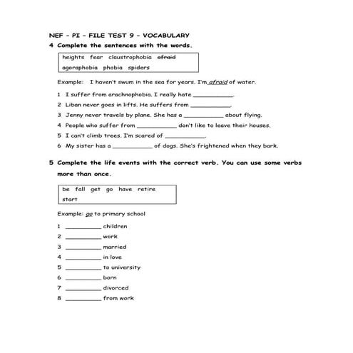NEF – PI – FILE TEST 9 – VOCABULARY