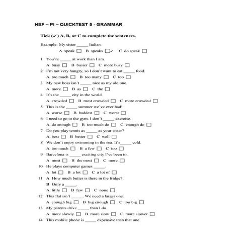 NEF – PI – QUICKTEST 5 - GRAMMAR