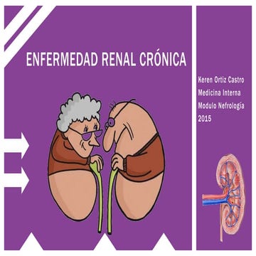 Enfermedad renal cronica y enfermedades asociadas