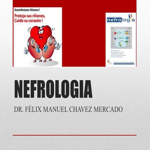 Principios de Nefrologia: fisiologia Renal parte 1