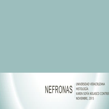 Nefronas