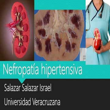 Nefropatia hipertensiva, nefroesclerosis