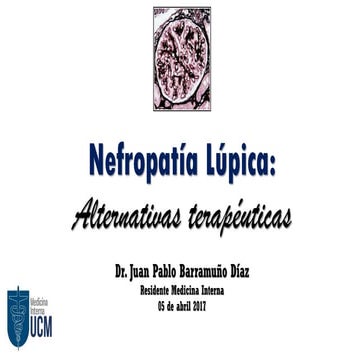 Nefropatia lupica, alternativas terapeuticas