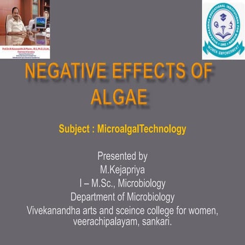 NEGATIVE EFFECTS OF ALGAE.pptx