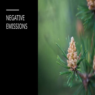 Negative_emissions_seminar_climate change.pptx