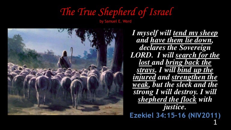 The True Shepherd - Ezekiel 34