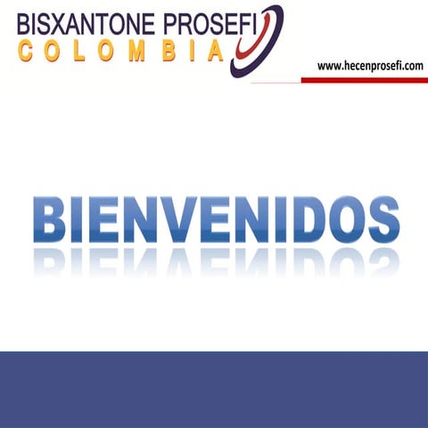 Negocio bisxantone prosefi 