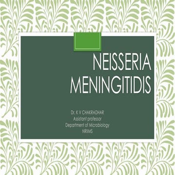 Neisseria meningitidis