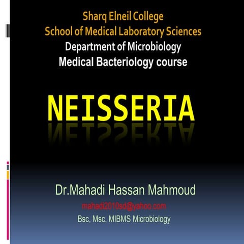 Neisseria ppt mahadi