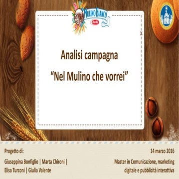 Analisi campagna "Nel mulino che vorrei"