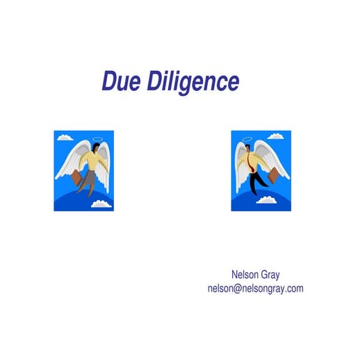 Taming the Dragon- Secrets of Due Diligence (Nelson Gray)