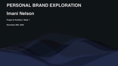 Project & Portfolio 1