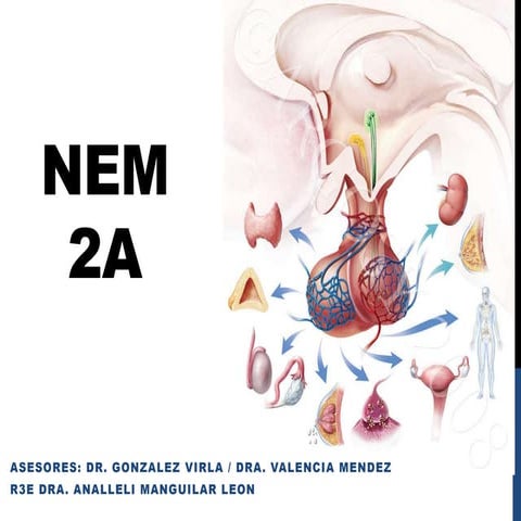 NEM 2a | PPTX