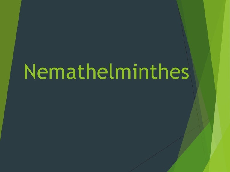77 Koleksi Contoh Gambar Hewan Nemathelminthes HD