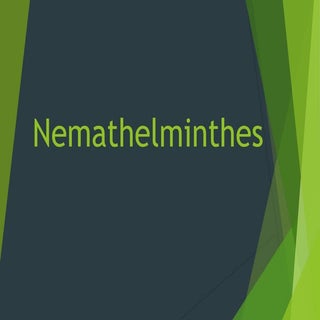 Nemathelminthes