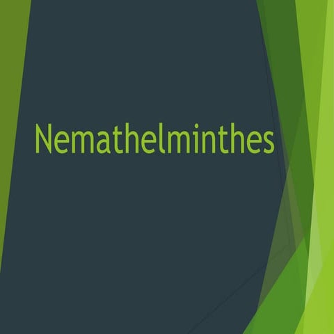 Nemathelminthes