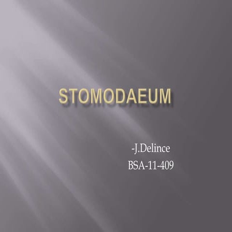 Stomodaeum of a nematode