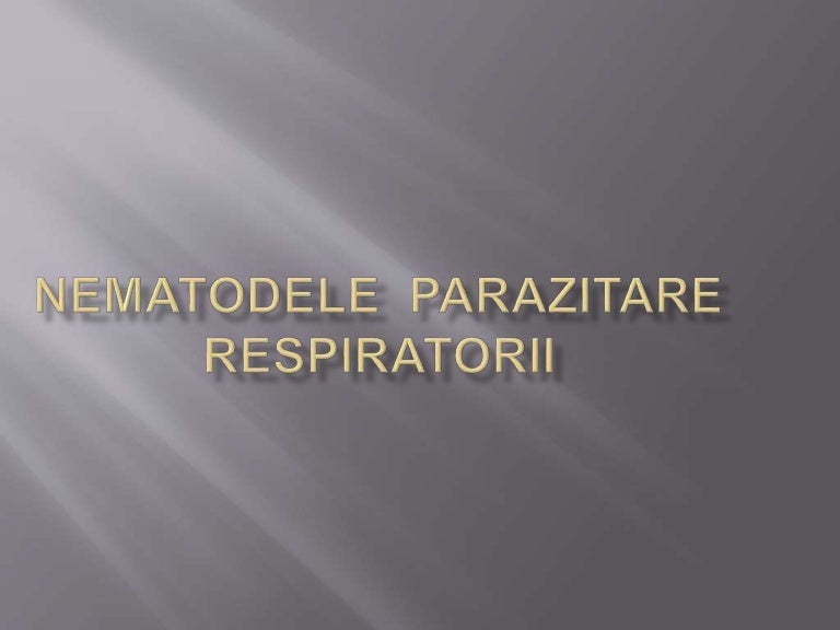 papillon zeugma 5 del()