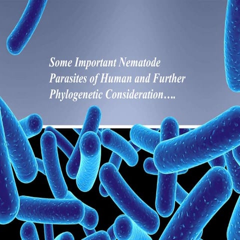 Nematode .......parasites of human and further phylogenetic consideration
