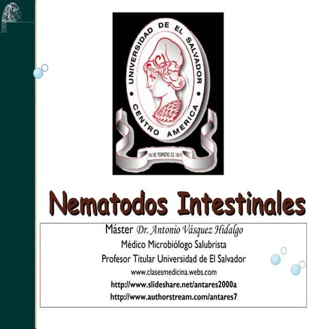 Nematodes intestestinales clase