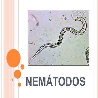 Nemátodos