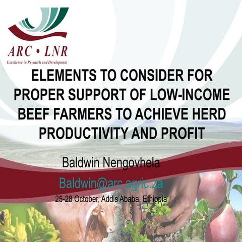 Elements to consider for proper support of  low-income beef farmers to achiev...