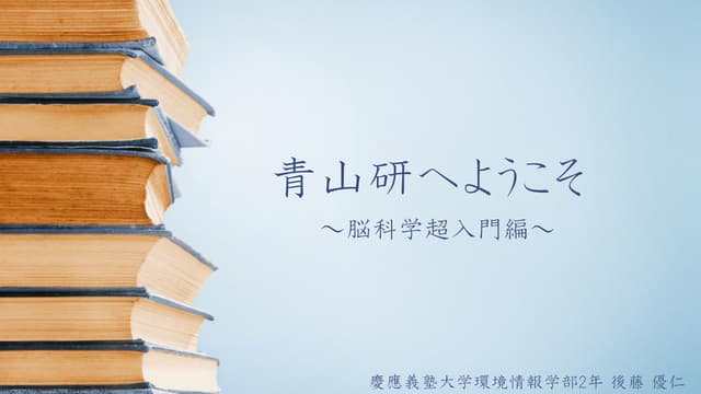 初学者向け脳科学入門