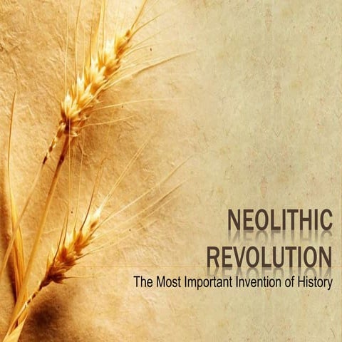 World History - Neolithic Revolution