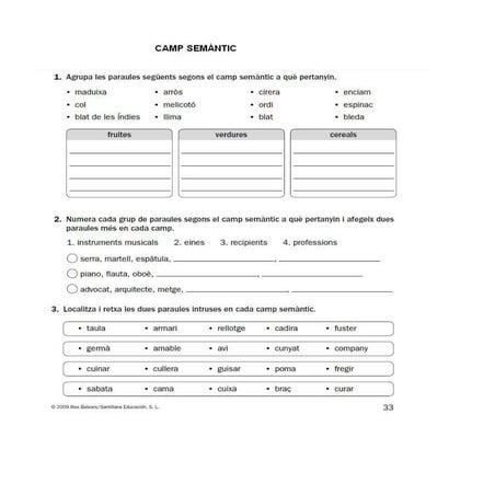 Lèxic:Neologismes i Camp semantic