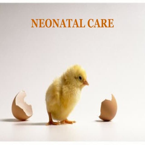 Neonatal care