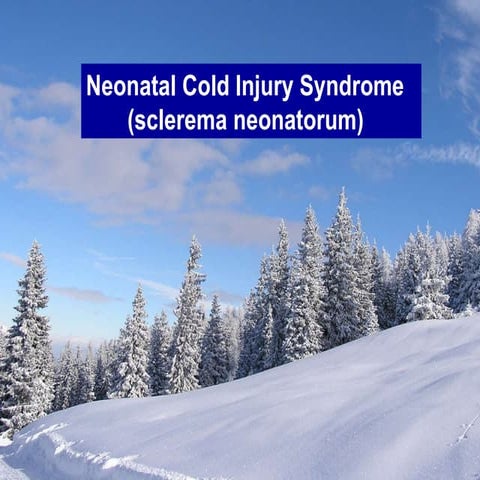 Neonatal cold injury syndrome