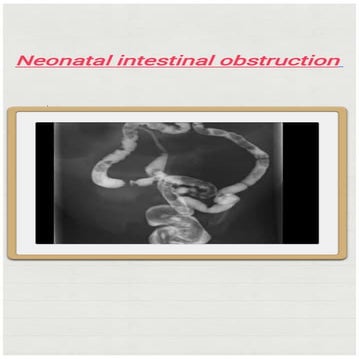 Neonatal intestinal obstruction 