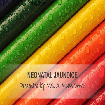 Neonatal Jaundice - Copy.pptx/Health care