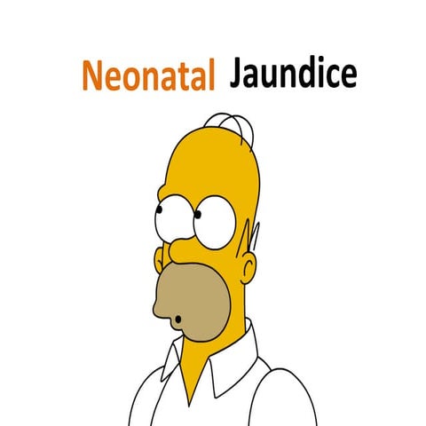 Neonatal Jaundice